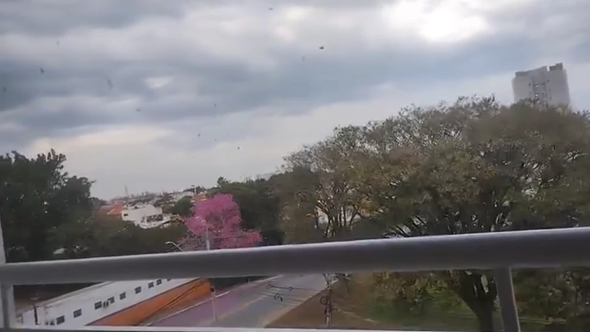 Ventania chega na Vila Industrial em São José dos Campos