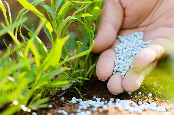 A evolução da indústria de fertilizantes e o respeito à sustentabilidade do planeta!