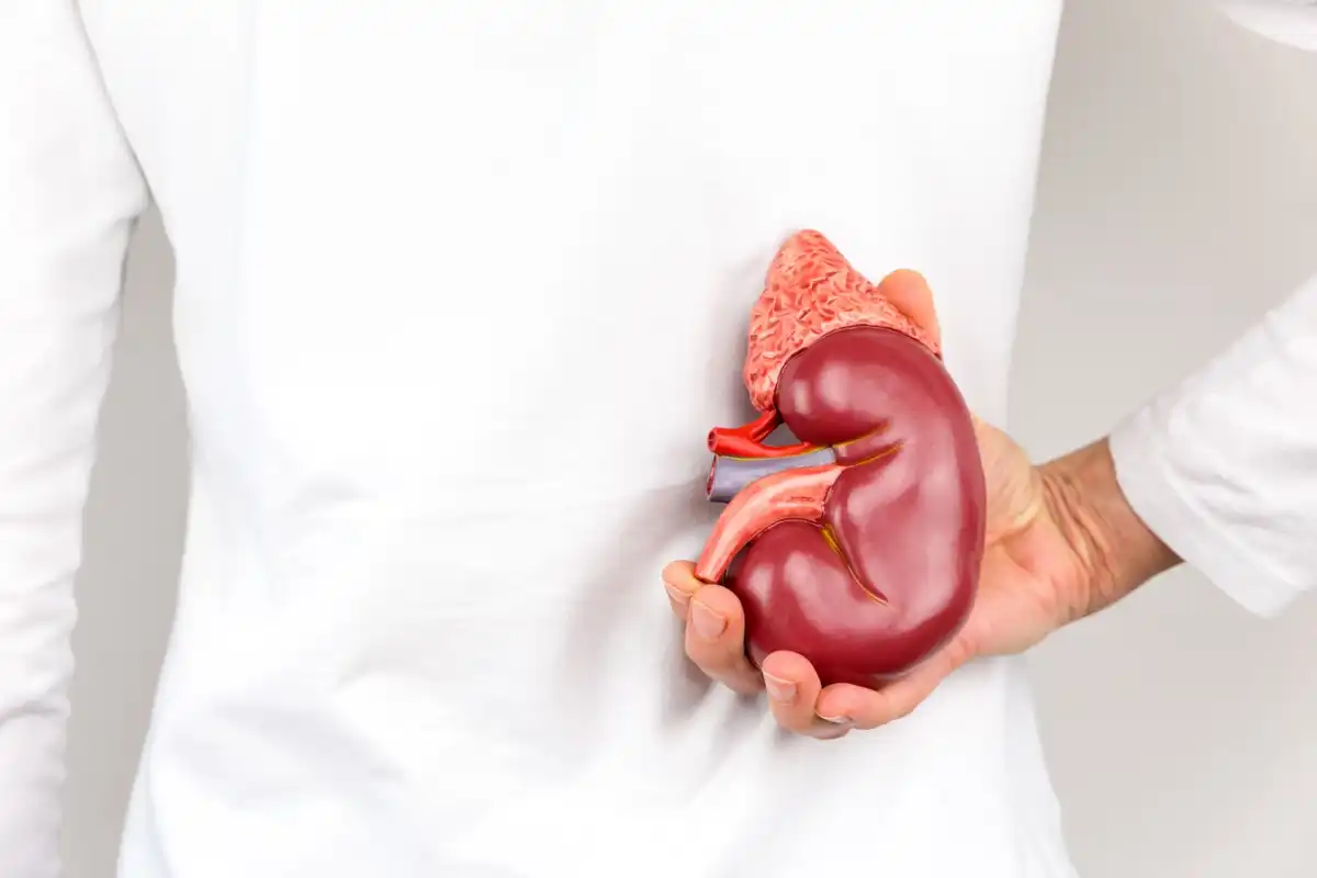 Doença renal crônica e diabetes tipo 2: entenda a relação e como buscar tratamento