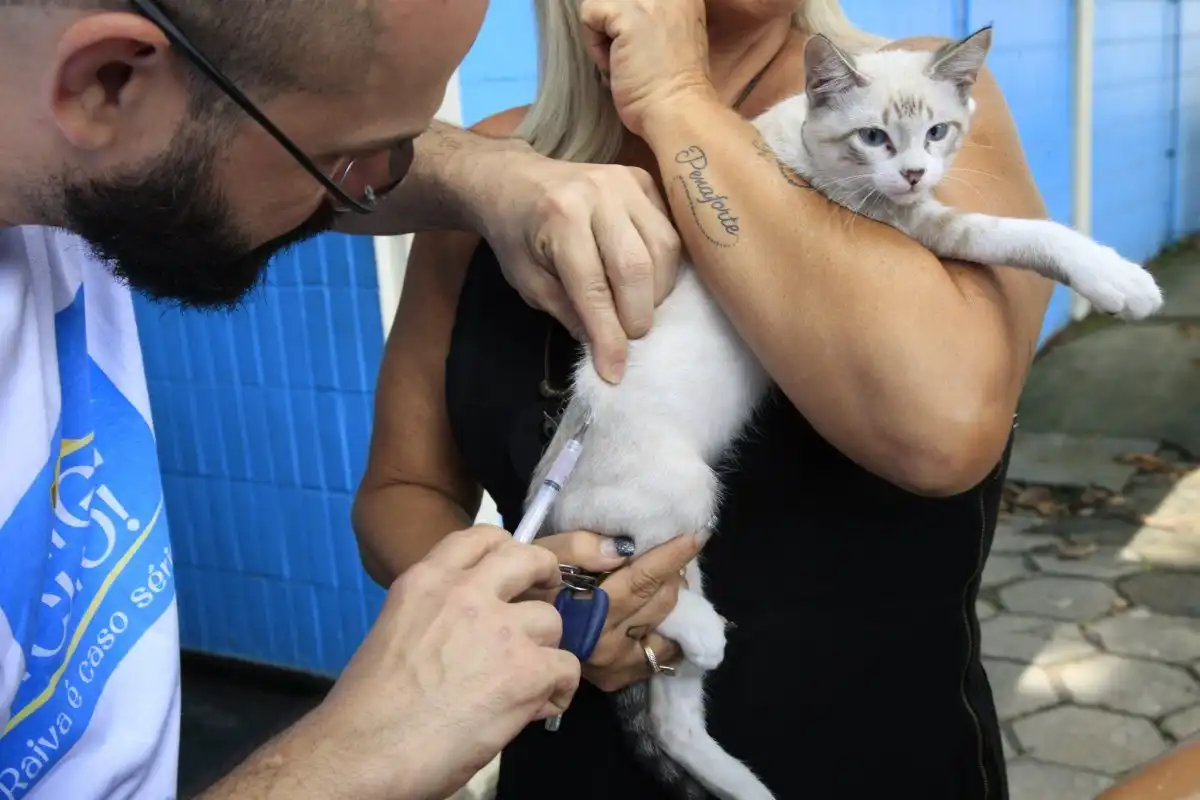 Jacareí realiza vacinação gratuita para cães e gatos neste sábado (16)