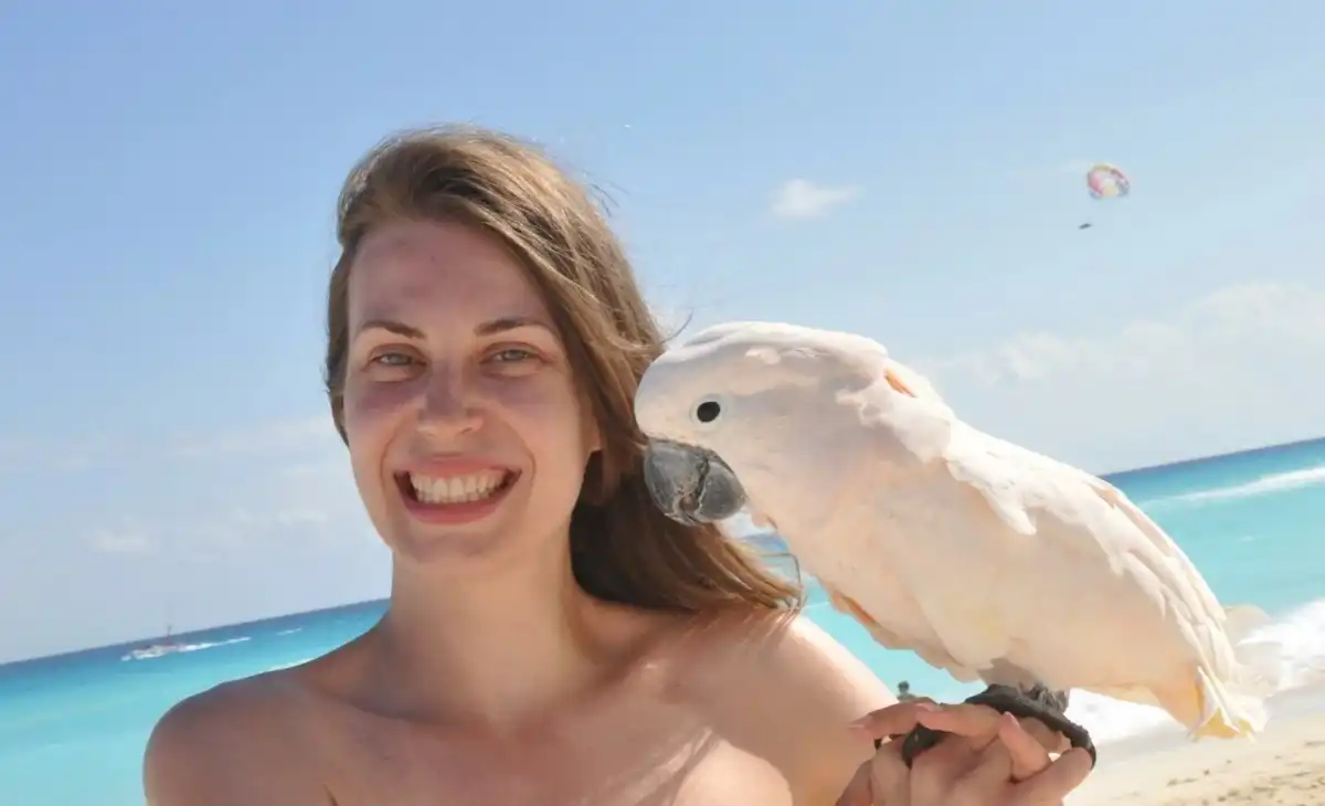 Mulher que estava no acidente de avião em Ubatuba sai da UTI Apesar da melhora no quadro de saúde, não há previsão de alta