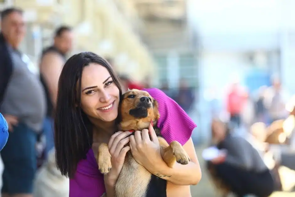 Meu Pet Feliz tem 1 mil vagas para castração e microchipagem gratuita
