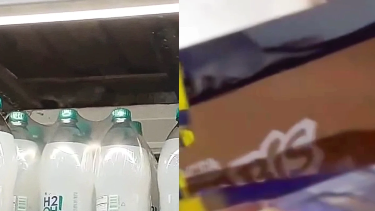 Clientes denunciam presença de ratos em atacado de Jacareí