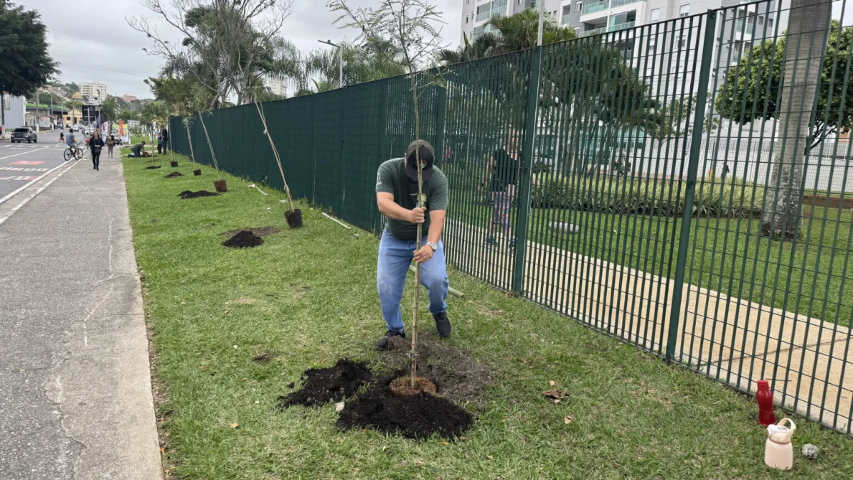Programa de arborização prevê plantio de 1.000 árvores