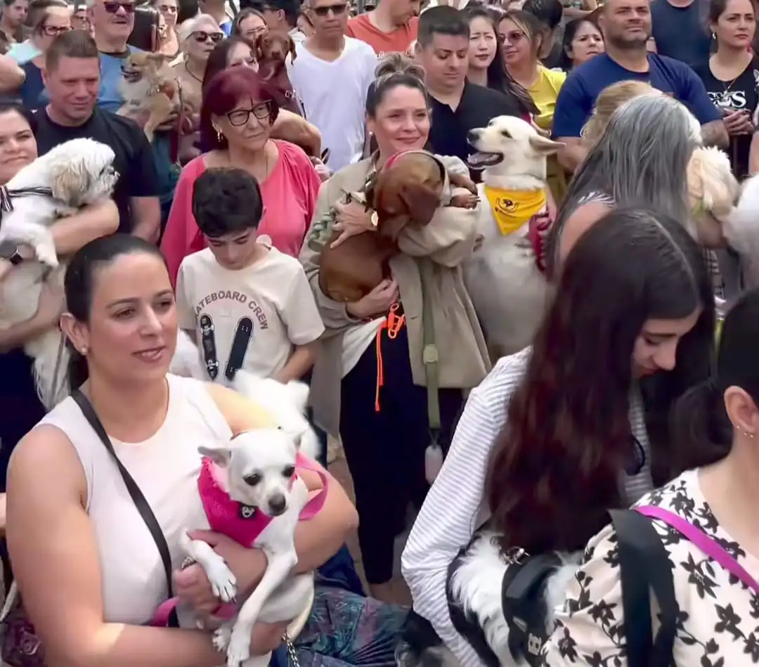 Fieis levam animais para bênção no Dia de São Francisco
