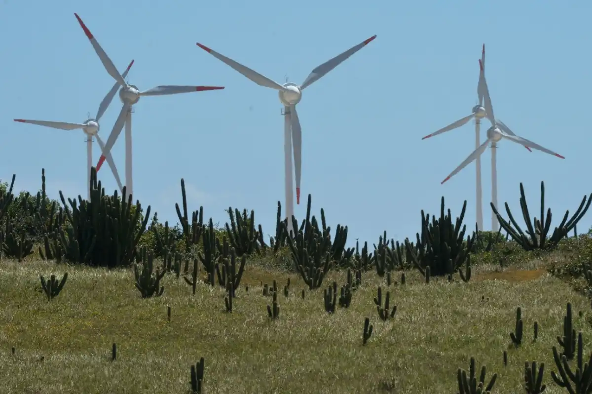 Crédito para transição energética das indústrias paulistas será facilitado por novo fundo de aval