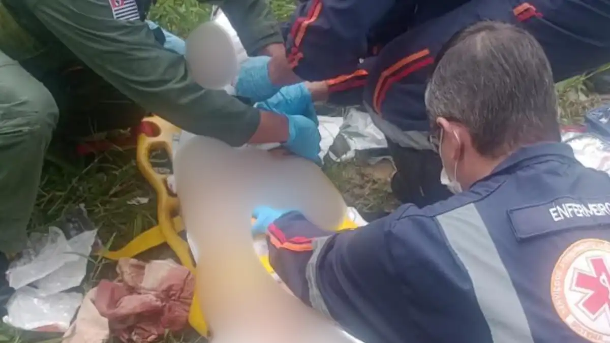 Tutor de pitbulls que mataram idosa em São José vira réu