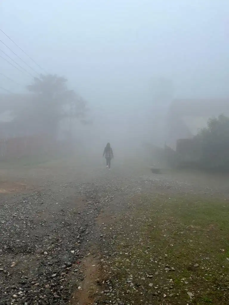 Defesa Civil alerta para formação de nevoeiros no Vale, Serra e Litoral  