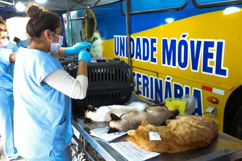 Inscrições para castração de pets em São Francisco Xavier abrem nesta quinta (16)