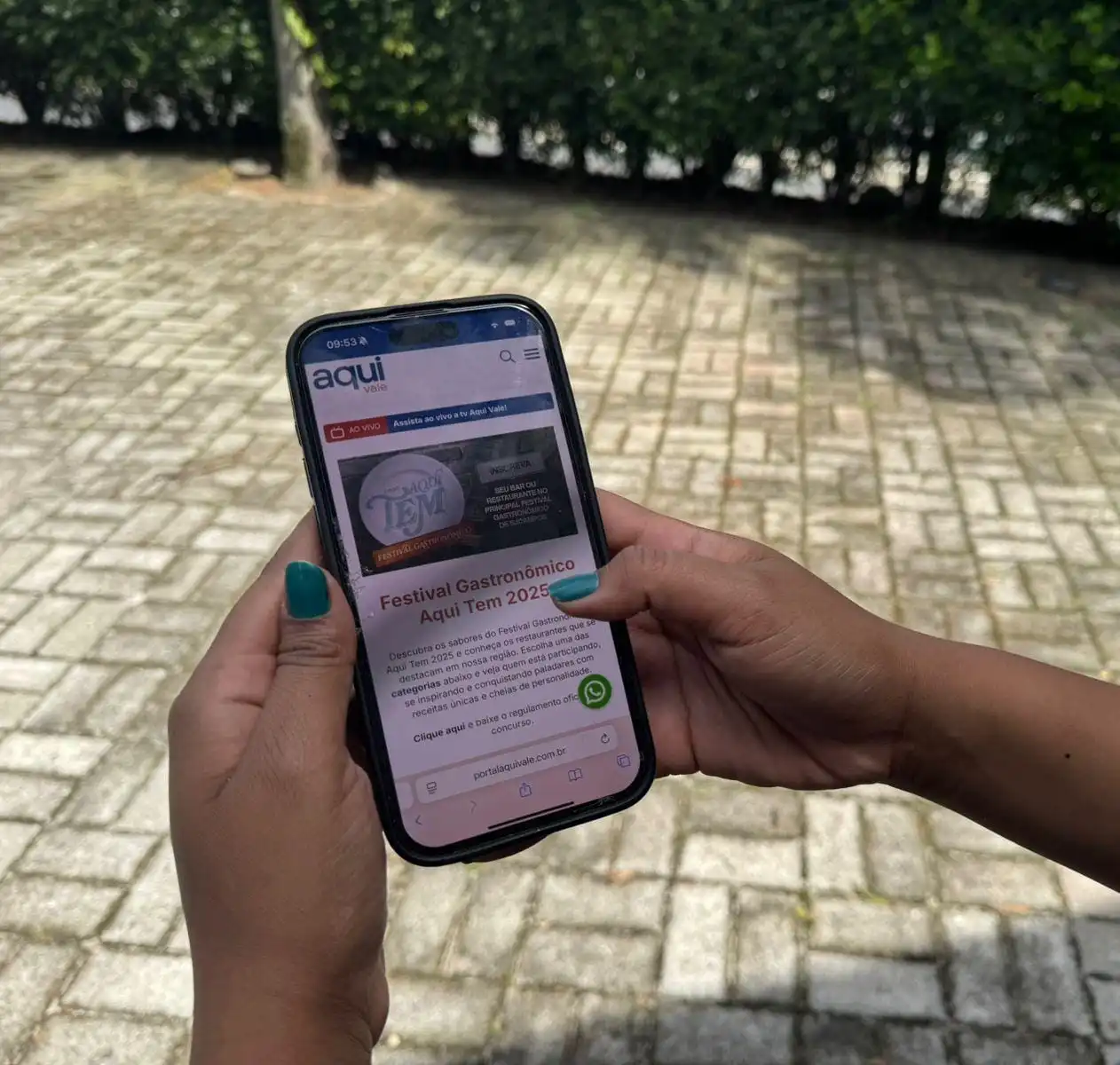 Site do Festival Gastronômico Aqui Tem ultrapassa 20 mil acessos 