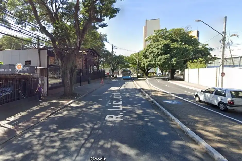 Prefeitura interdita rua no centro para retirada de árvore no domingo (15)