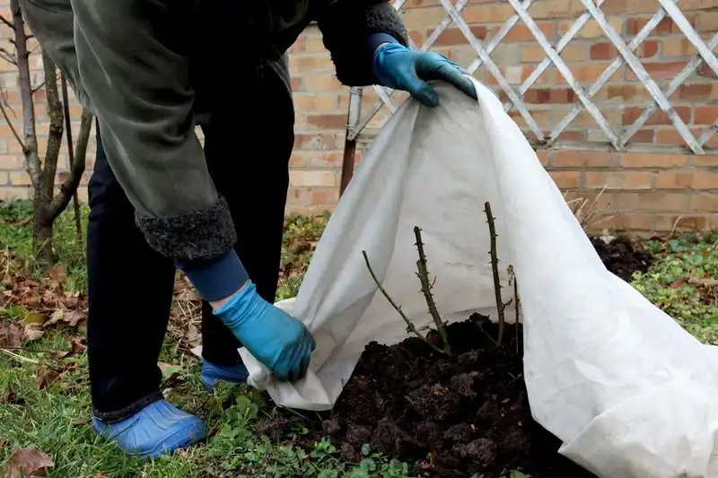 Os fertilizantes no cuidado com as plantas durante o inverno