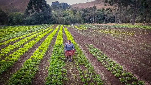 Nova Resolução da Secretaria de Agricultura tem o objetivo de triplicar o número de CARs no Estado