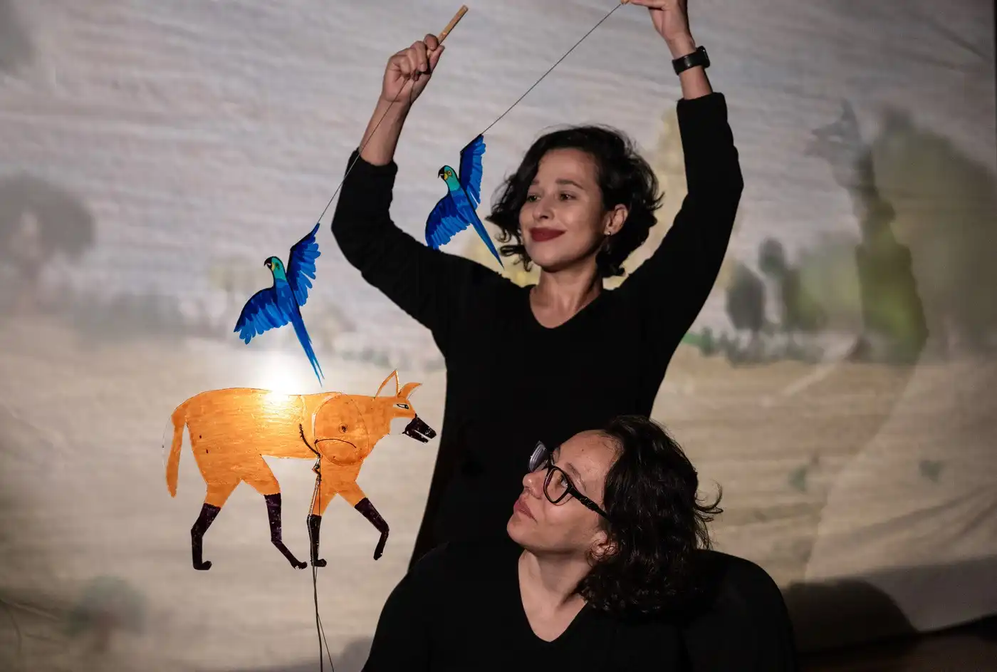 Festival Internacional de Teatro de Sombras acontece em Taubaté
