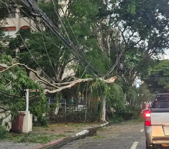São José dos Campos recebeu em 2024 R$ 13,2 milhões do Governo de SP para contenção de impactos de desastres naturais