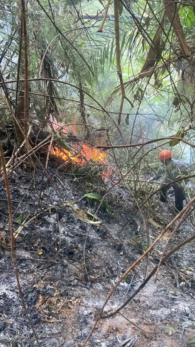 Após três dias, bombeiros encerram o combate ao incêndio no morro em Caraguatatuba