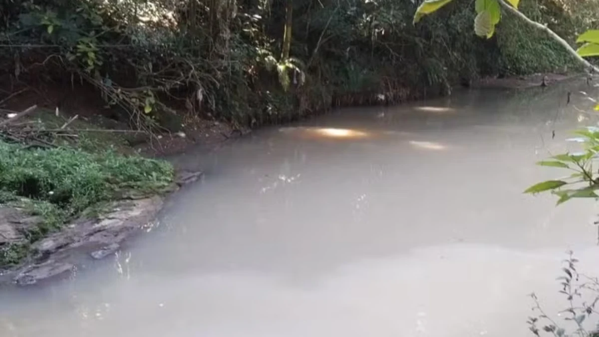 Peixes mortos são encontrados em rio de Campos do Jordão; suspeita é de contaminação