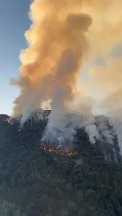 Incêndio em área de preservação consome mais de 250 mil m² em Cruzeiro