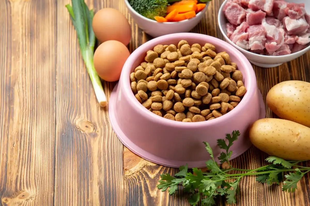 Ração x comida natural: veterinária explica as diferenças e benefícios de cada uma