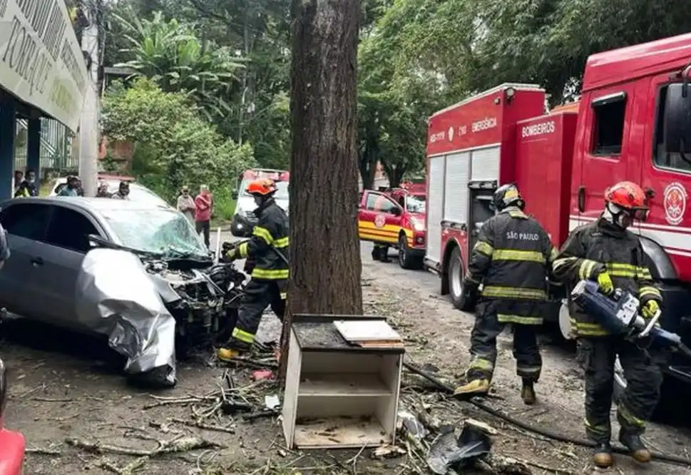 Motorista de 29 anos morre ao colidir com uma árvore na SP 50