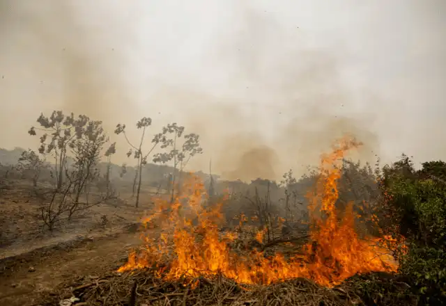 Tempo seco e risco de queimadas aumentam no Vale do Paraíba, alerta Defesa Civil