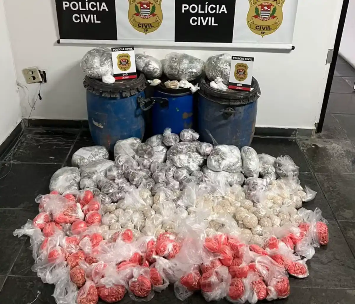 Polícia apreende mais de 27 mil poções de drogas em São José 