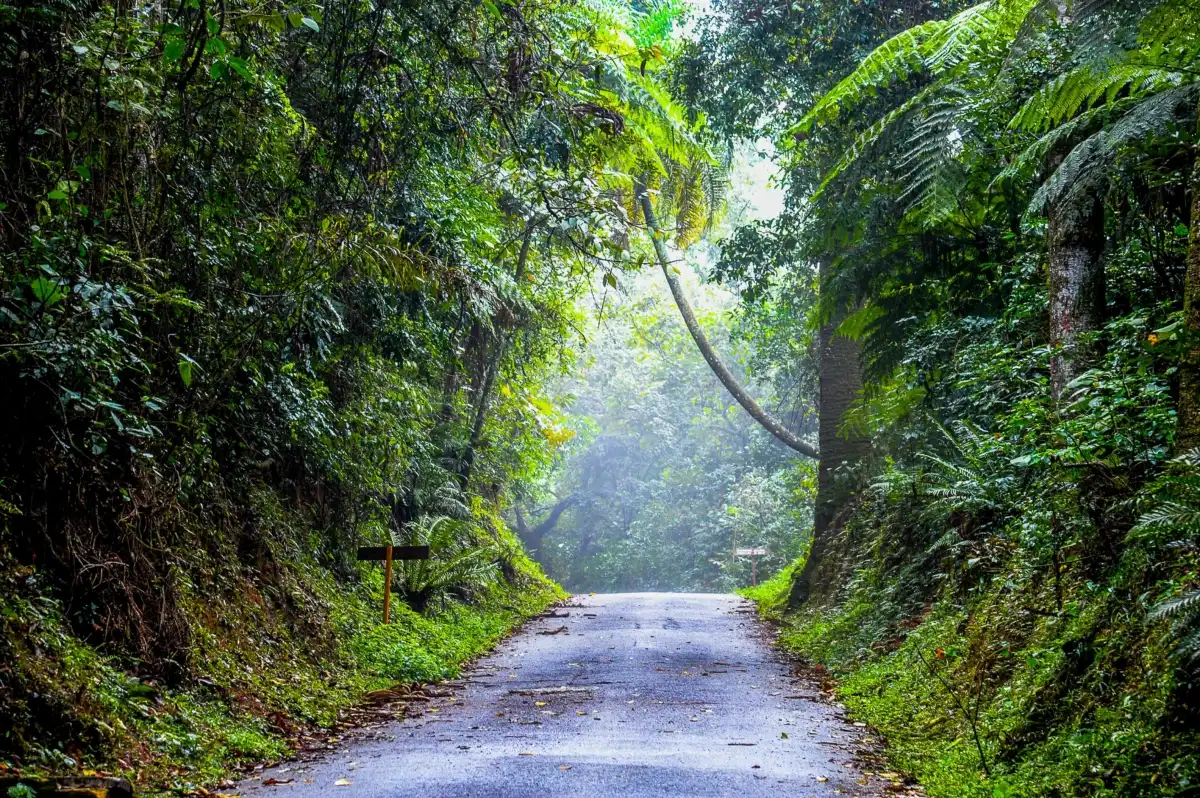 Parques dão boas-vindas ao período de férias escolares com exposições inéditas no Ibirapuera e novas trilhas na Cantareira