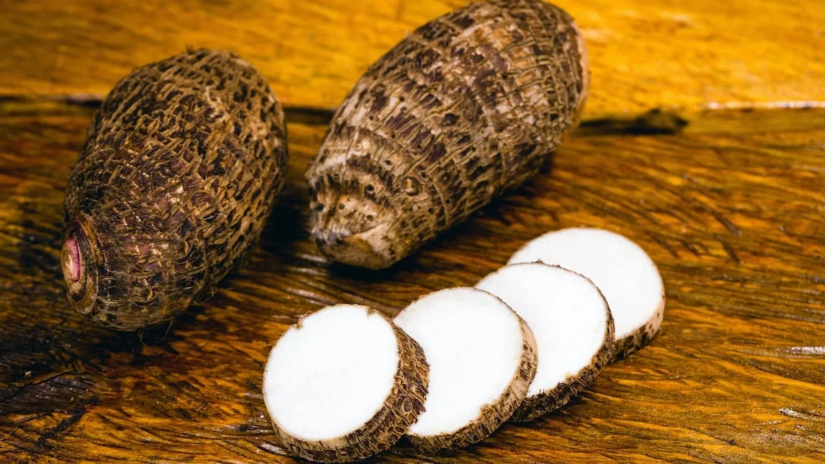 Inhame contém proteína com potencial para combater o câncer, aponta estudo