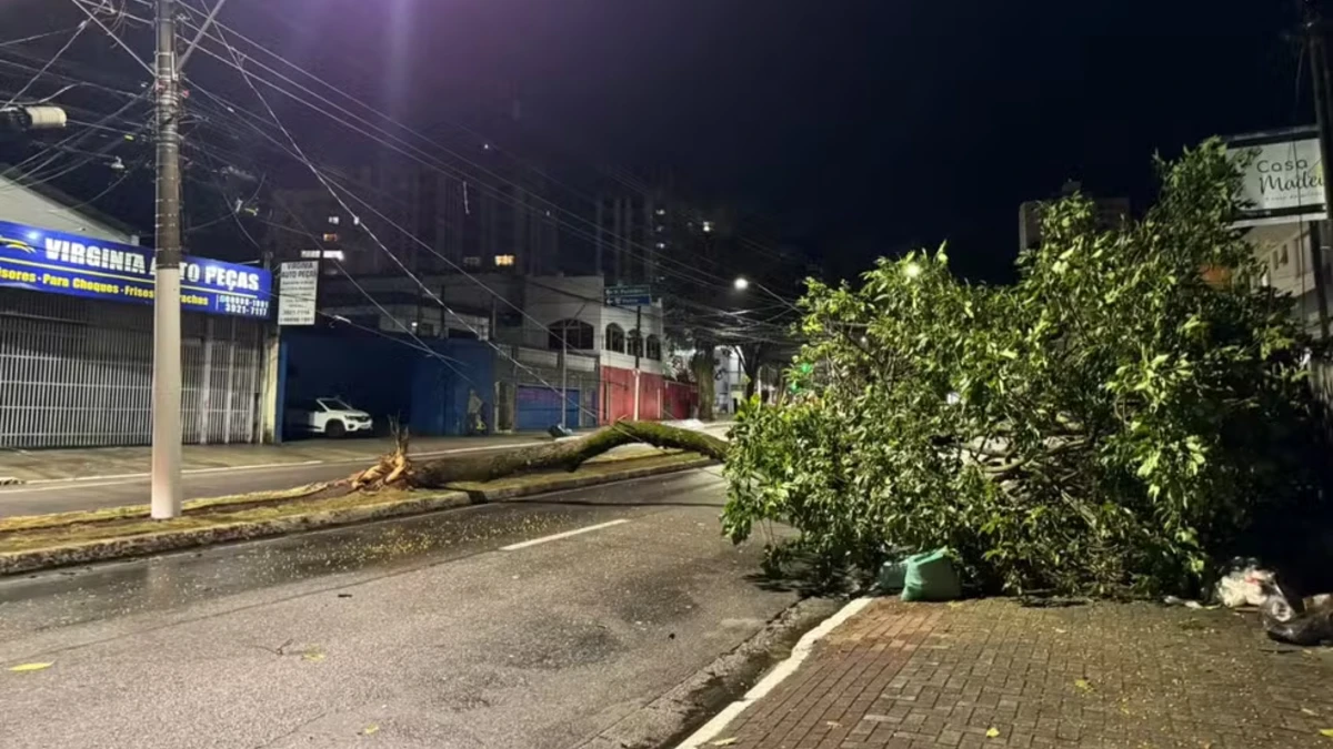 Chuva e ventos derrubam árvores e causam bloqueios em ruas de São José dos Campos