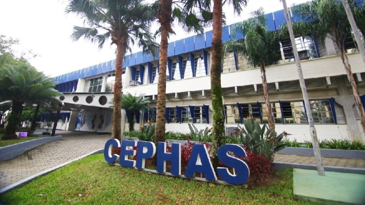 Cephas abre 104 vagas em cursos gratuitos de qualificação profissional em SJC