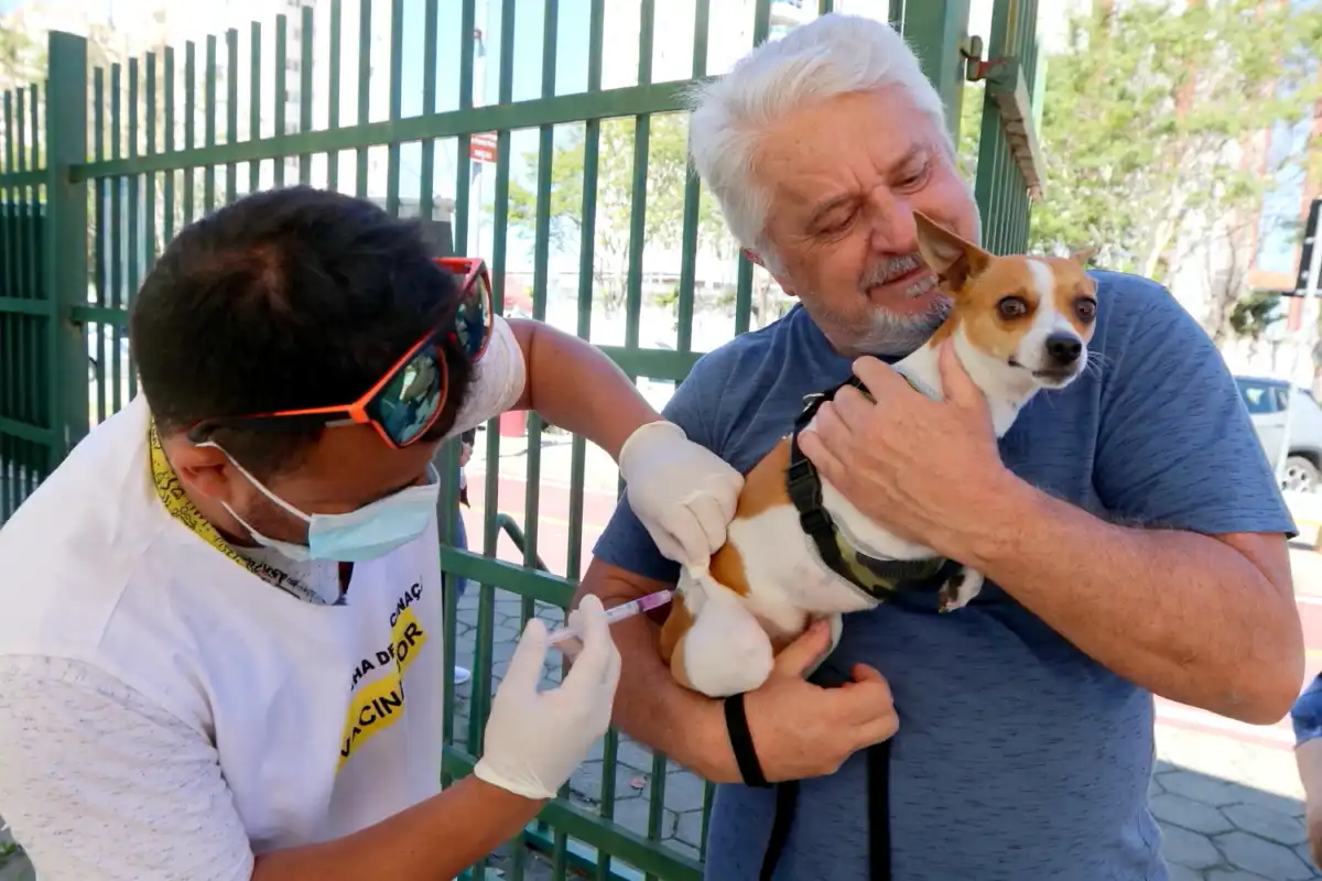 Atenção moradores da região do Jardim Siesta! Prefeitura de Jacareí realiza vacinação antirrábica para cães e gatos neste sábado (29)