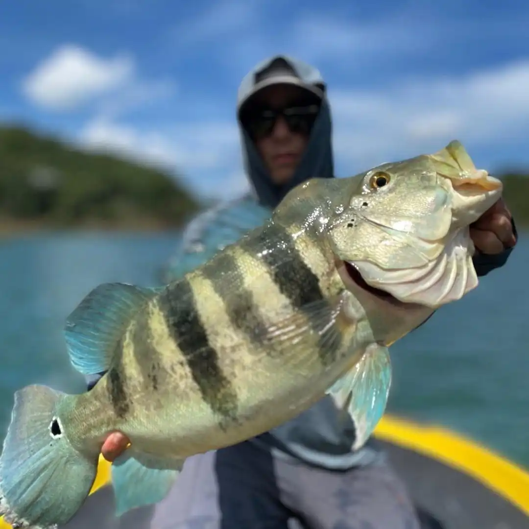Paraibuna sedia Campeonato Paulista de Pesca Esportiva neste sábado 