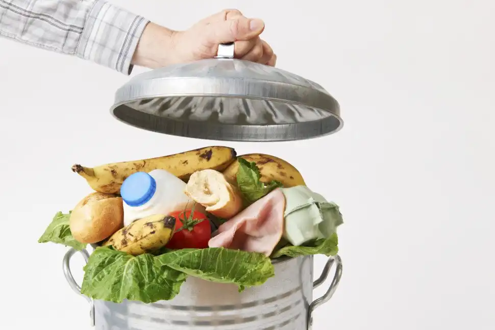 O flagelo do desperdício de alimentos