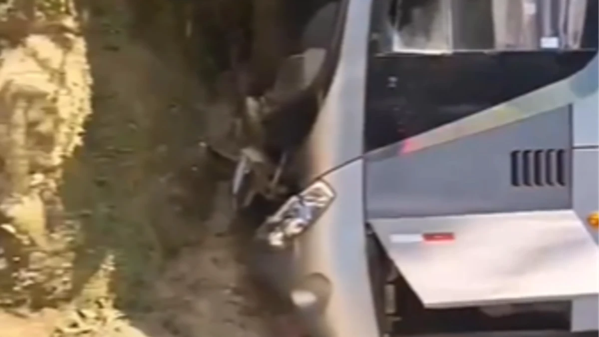 Ônibus bate na serra de Ubatuba e deixa 5 feridos