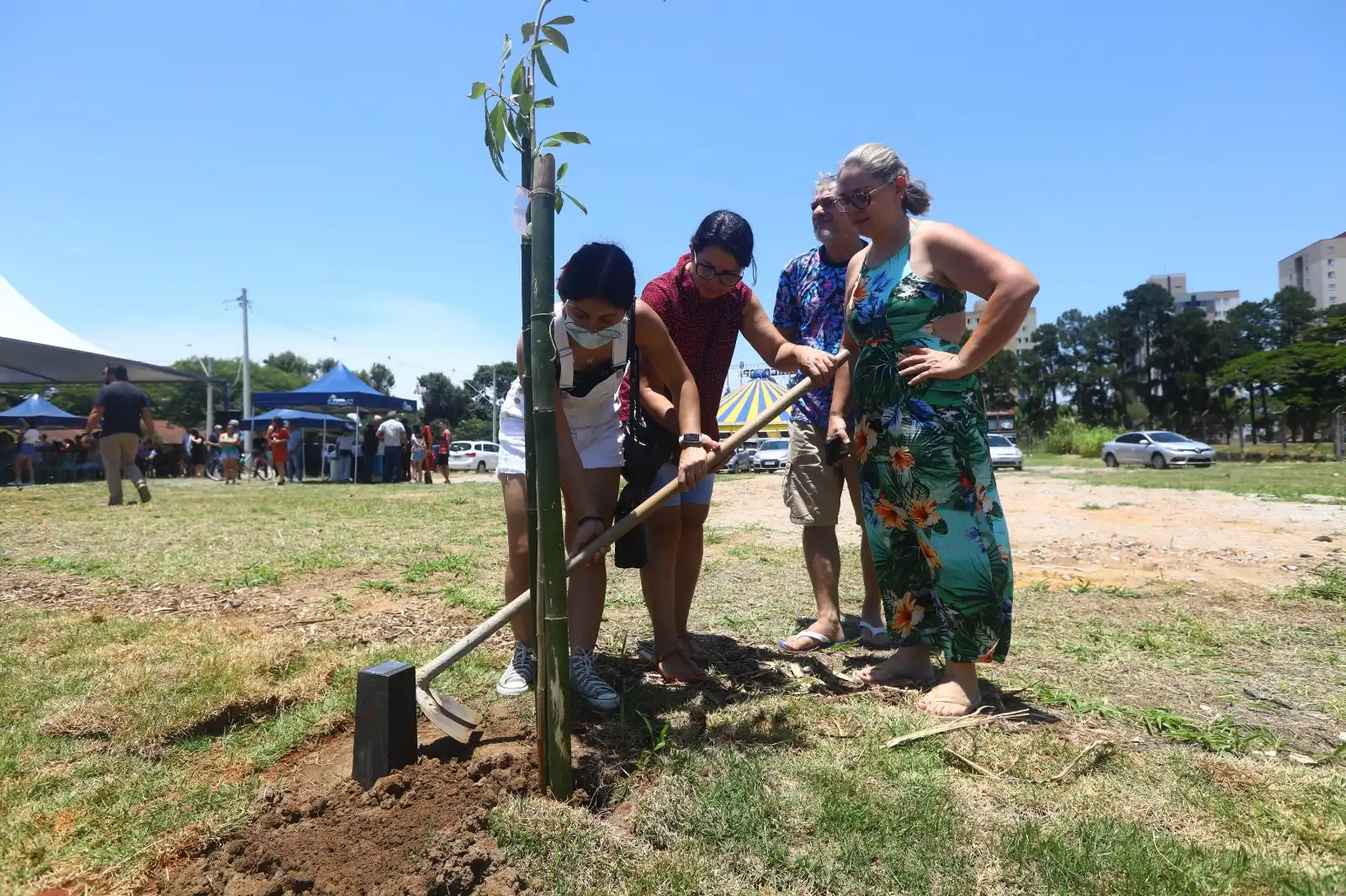 Bosque da Memória: 2º plantio em homenagem às vítimas da Covid-19 será no domingo (18)