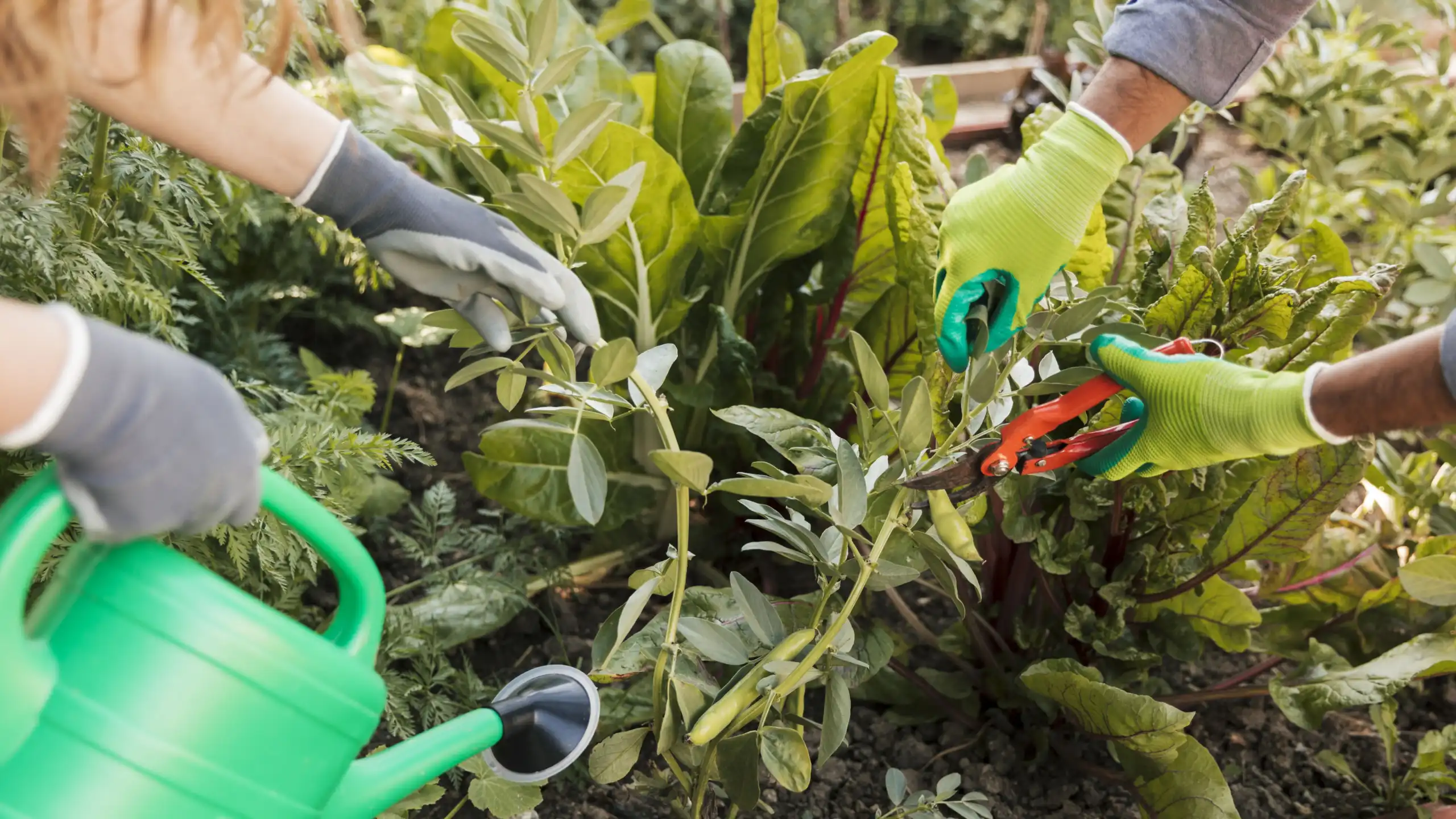 Mary Help a arte da jardinagem vai muito além da estética