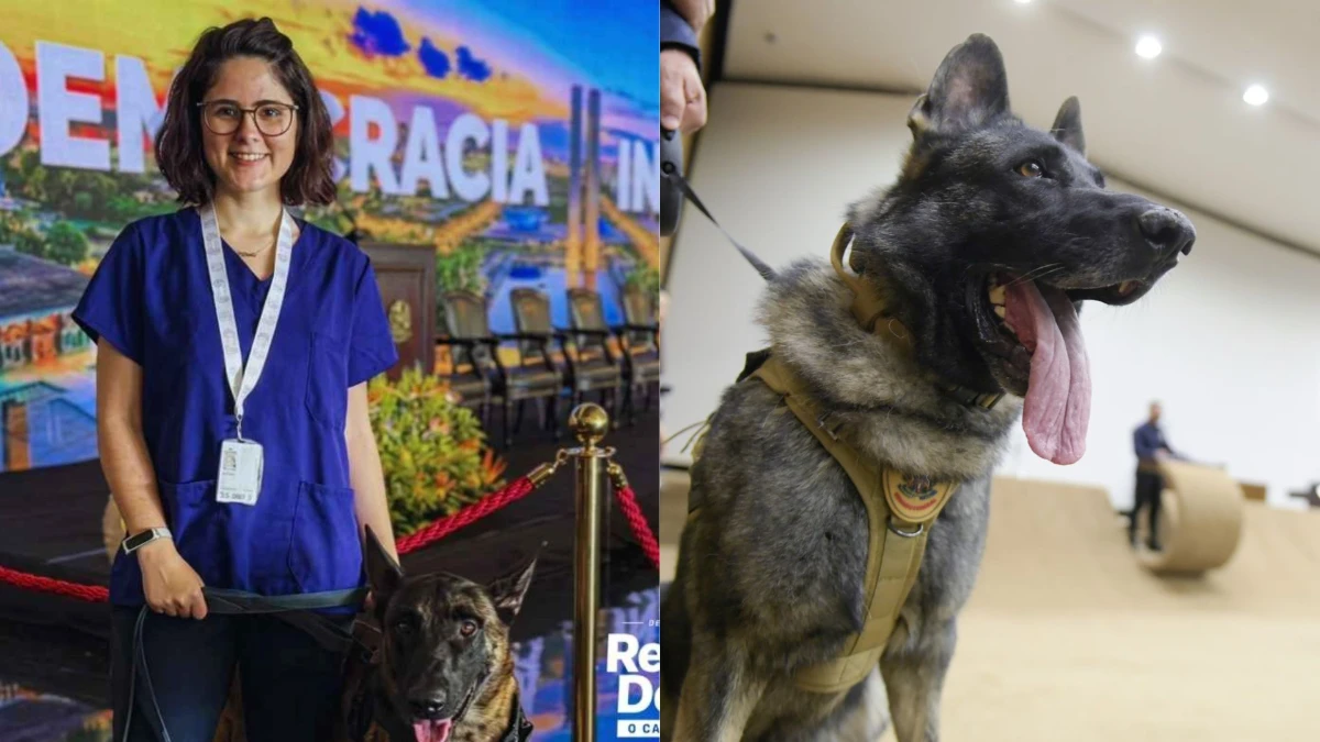 Veterinária morre após ser atacada no pescoço por cão do Senado