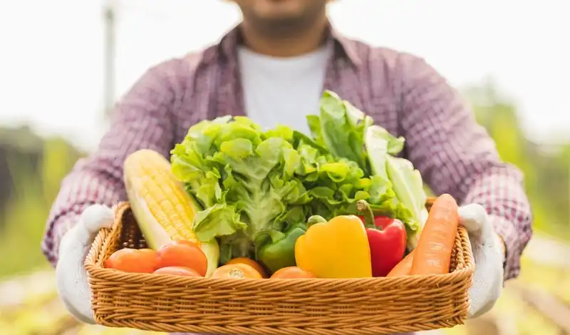 Dia do Agricultor: NPV destaca papel vital dos profissionais que alimentam o mundo