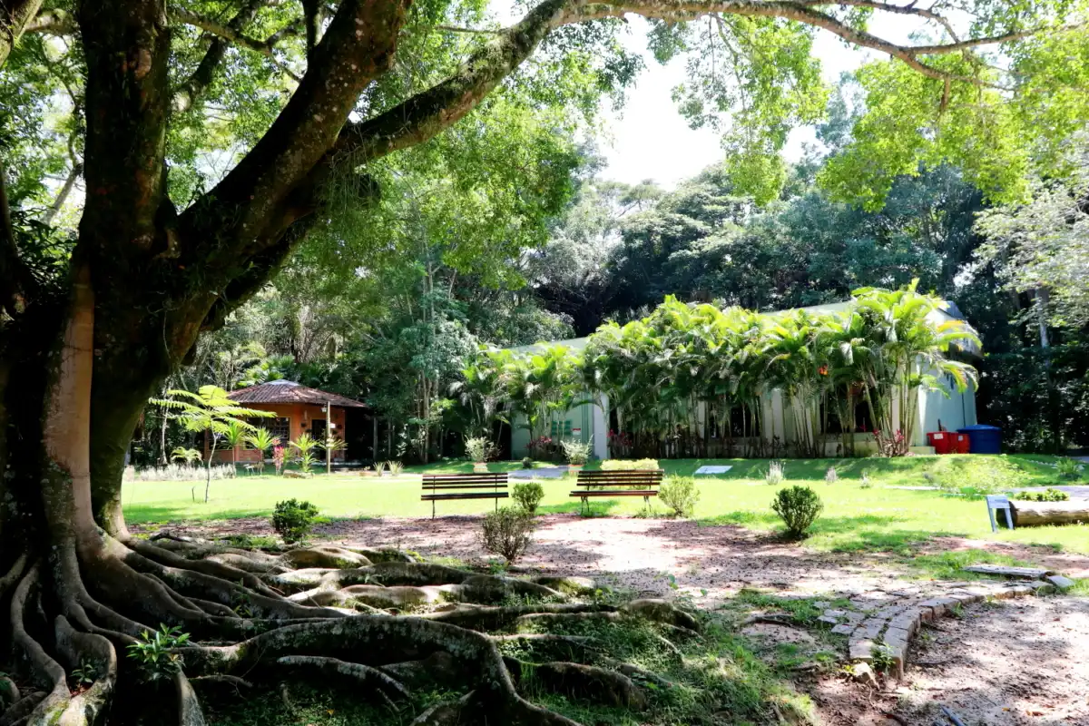 Oficina "Porta-retrato com elementos da natureza" e trilha guiada "Explorando o meio ambiente" são os destaques do "Viver o Viveiro", neste domingo (9), em Jacareí