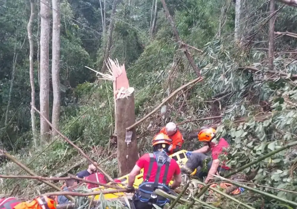 Funcionário da EDP é resgatado após árvore cair em sua perna