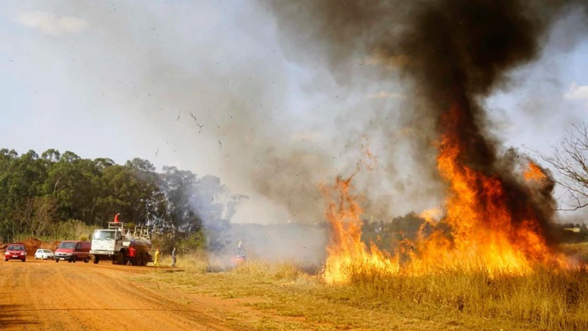 Governo de São Paulo intensifica ações de combate aos incêndios e pede cooperação da população durante o período sem chuvas
