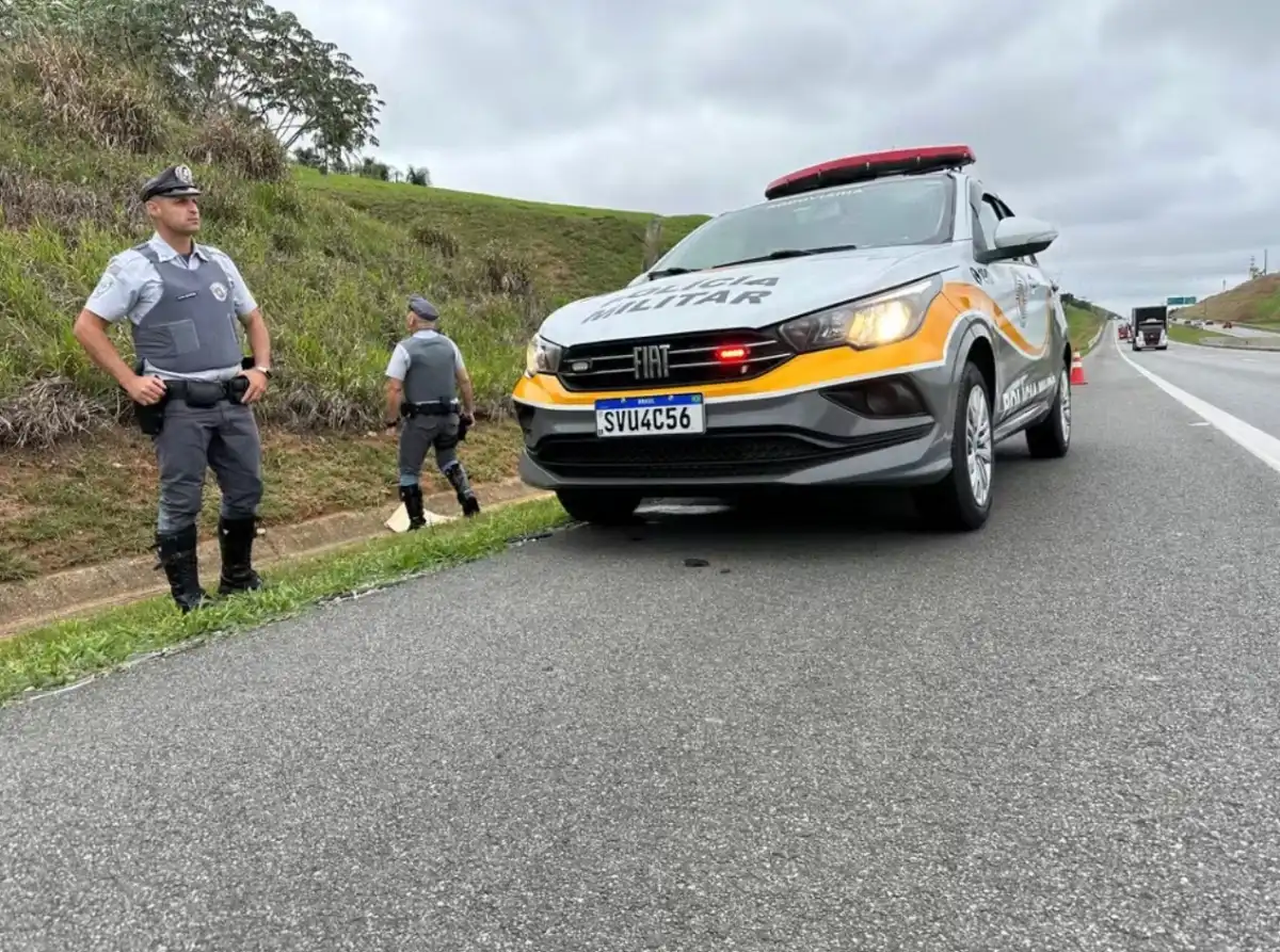 Três pessoas morrem após um boi ser atropelado na Rodovia Carvalho Pinto em São José