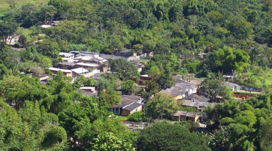 Banhado