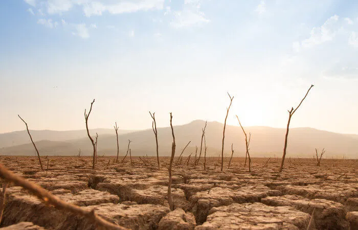 Impactos das mudanças climáticas no setor elétrico e no agronegócio são tema do II EMSEA, evento da Climatempo que reunirá empresas e órgãos reguladores