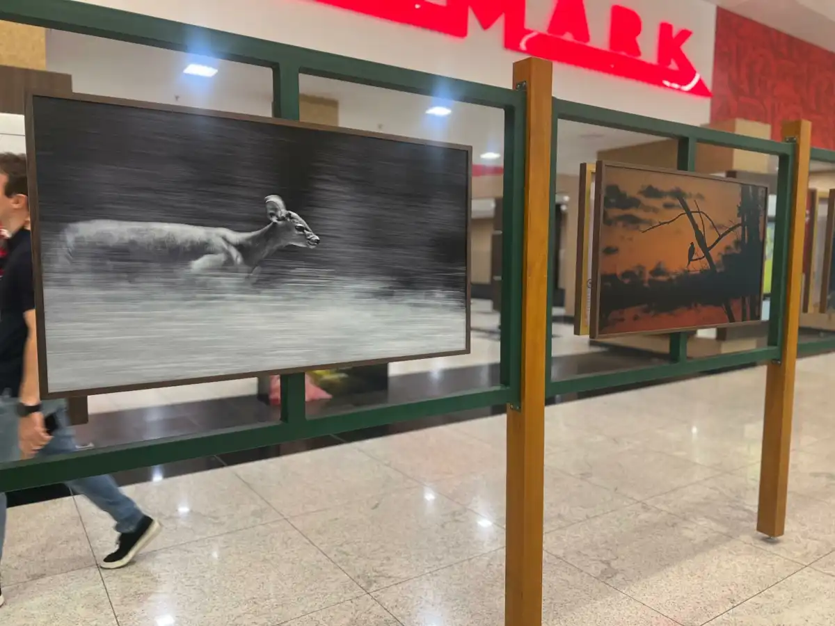 A riquezas naturais de São Francisco Xavier em destaque no Colinas Shopping