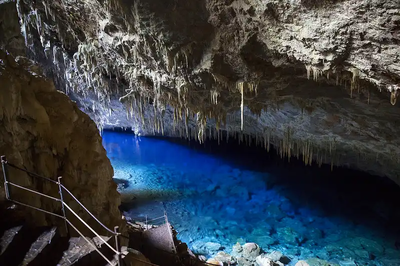 Bonito: um destino espetacular no coração do Brasil 