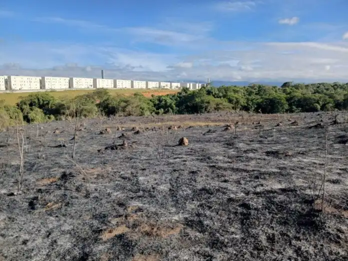 Área de 100 mil metros quadrados de mata é atingida por incêndio em Taubaté