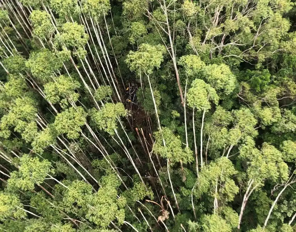 Helicóptero desaparecido é encontrado em Paraibuna