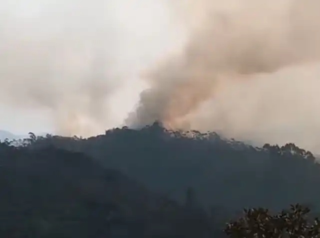 Incêndio atinge Parque Estadual da Serra do Mar em Cunha