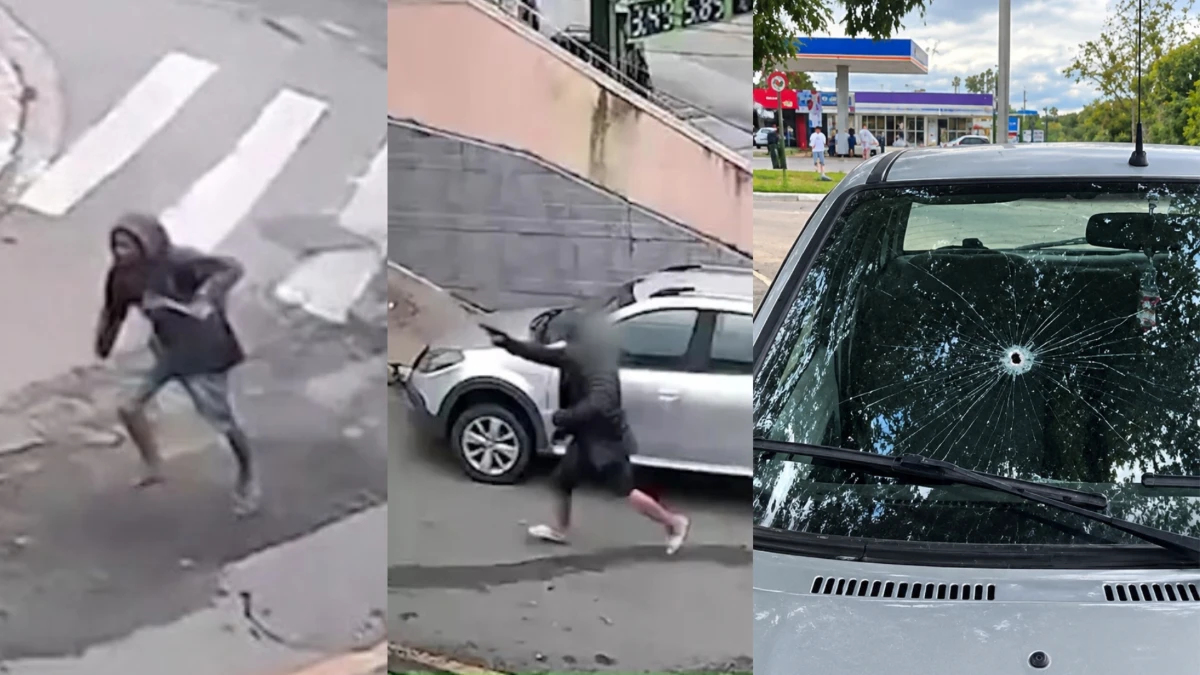 Imagens mostram ataque a faca e perseguição que terminaram com morte
de idosa